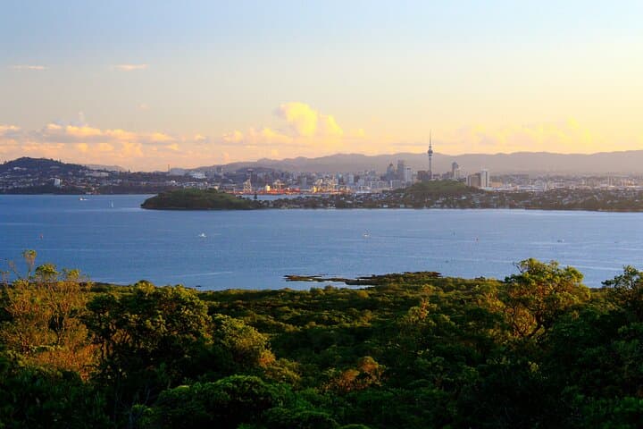Day sea kayak tour Rangitoto Island