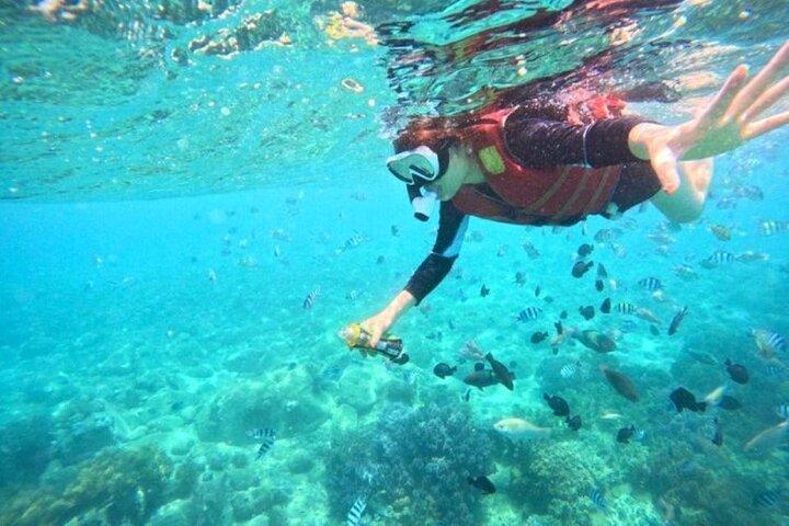 ムン島海洋公園でのシュノーケリング体験