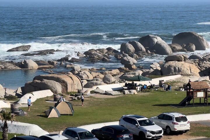 Private tour in Cape of Good Hope and Penguins from Cape Town