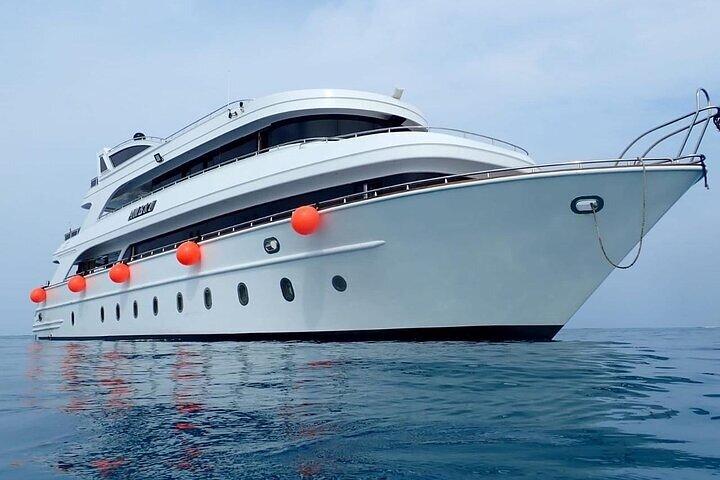 Marsa Mubarak Boat Trip with Dugongs and Turtles From Hurghada