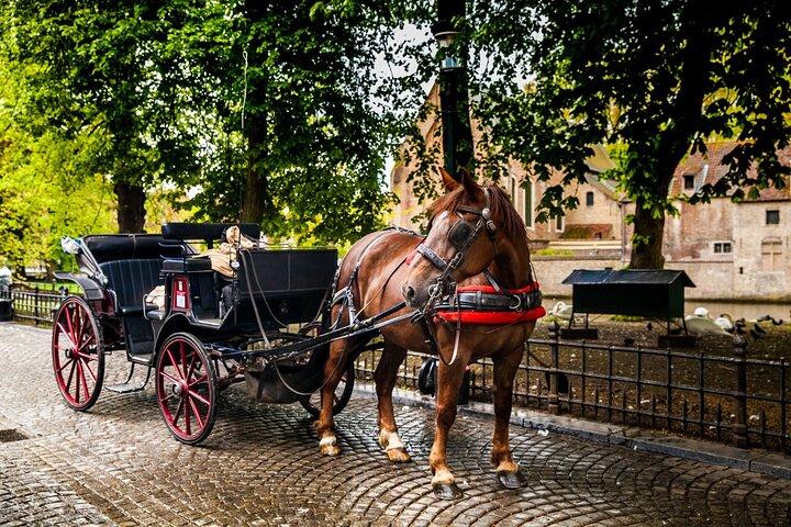 Explore Bruges em 60 minutos com um local