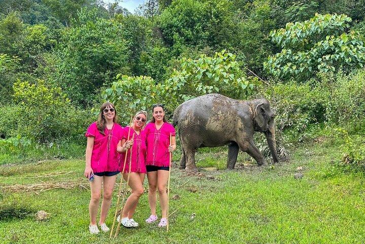 Chiang Mai Elephant Sanctuary Observation og Bamboo Rafting