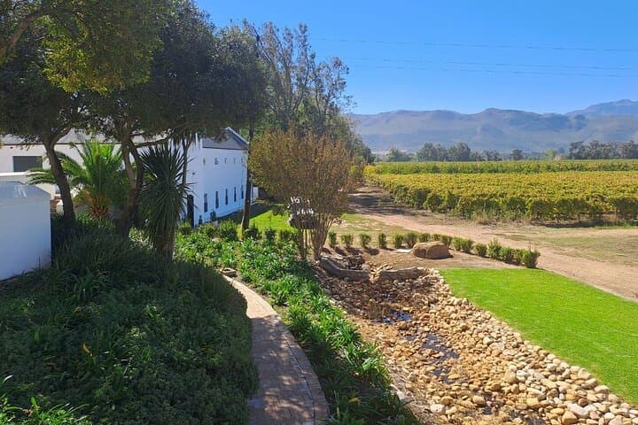Franschhoek and Stellenbosch Wine Tasting Day Tour