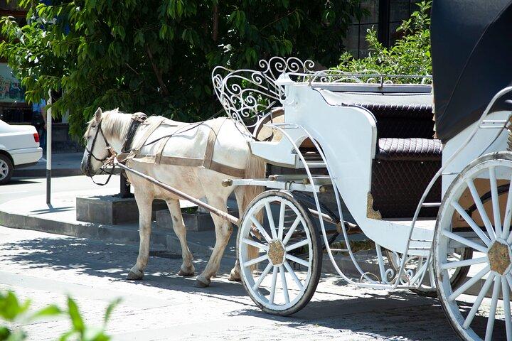 Transfer de Yerevan para Gyumri ou vice versa