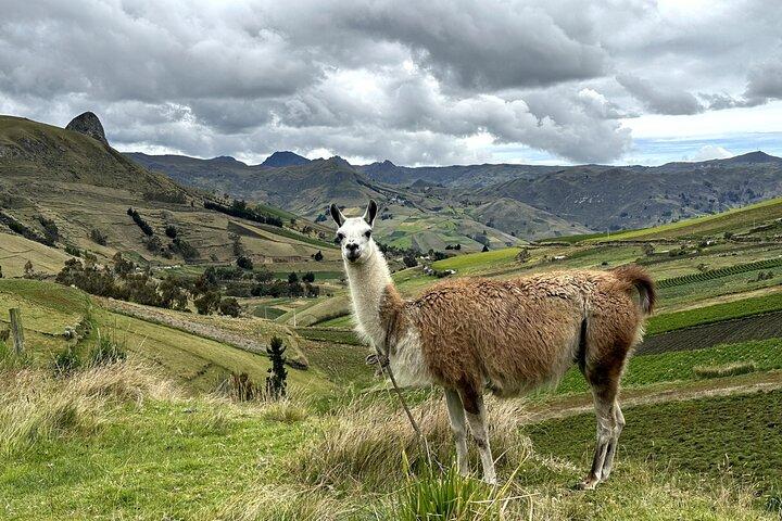 Quilotoa Lake Day Trip from Quito – Hike & Scenic Views