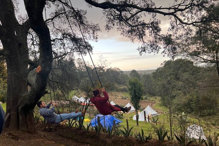 Visit of Fireflies Forest in private transport from mexico city