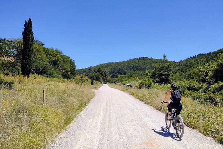 Per ebike: bezoek een kunstpark en wijnsmaak in de klassieke Chianti