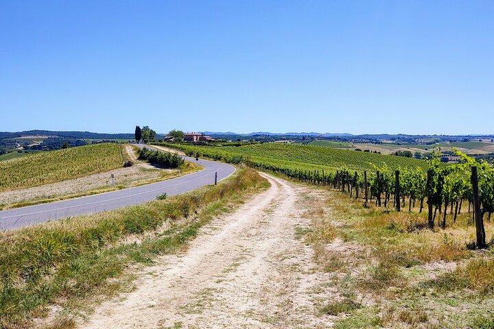 Per ebike: bezoek een kunstpark en wijnsmaak in de klassieke Chianti