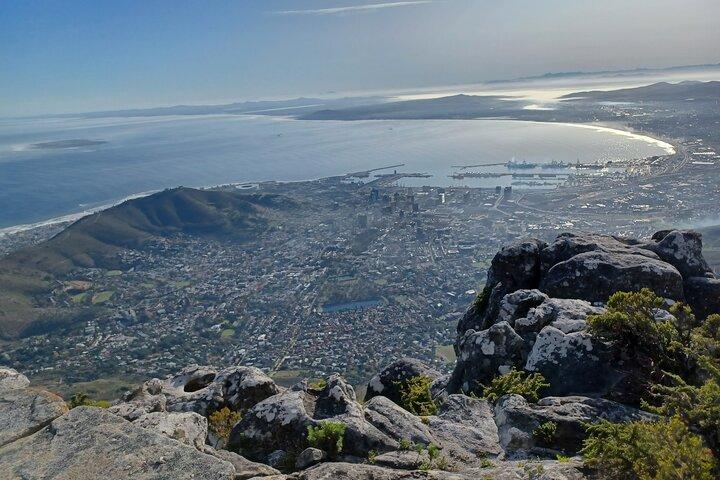 Tour della Table Mountain e del Capo di Buona Speranza