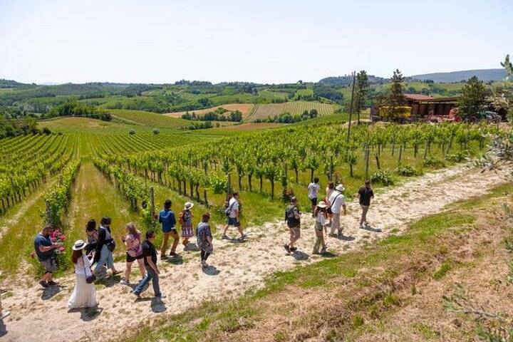 Siena, Chianti