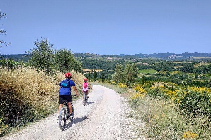 Per ebike: bezoek een kunstpark en wijnsmaak in de klassieke Chianti
