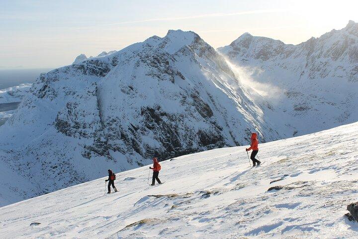 Islas Lofoten: Tour guiado con raquetas de nieve - Versión cuesta arriba