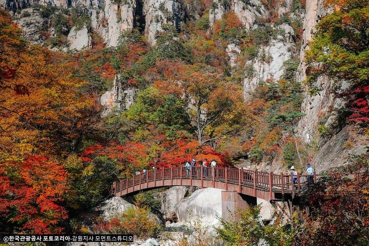 Full-Day Tour in Mt. Seorak & Nami (+Rail Bike Option)