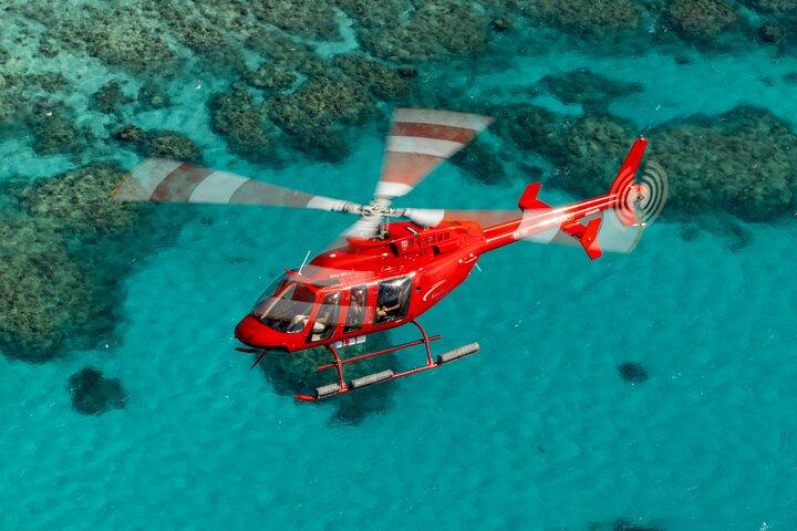 Great Barrier Reef eller Rainforest Scenic Flights från Port Douglas