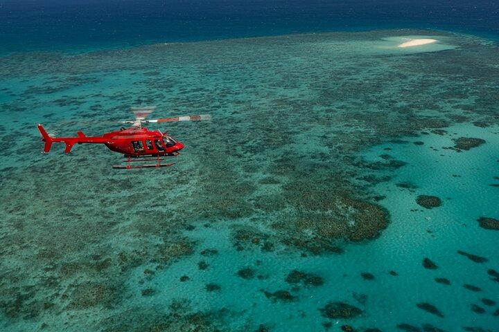 Great Barrier Reef eller Rainforest Scenic Flights från Port Douglas