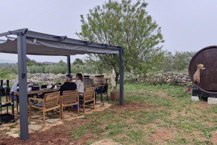 Cours de cuisine sur l'île de Hvar : une expérience de la ferme à la table