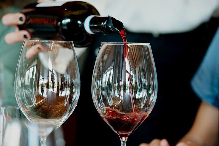 E-Bike e Wine Adventure autoguidati nella Valpolicella Classica