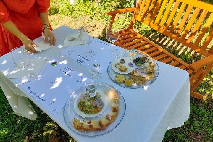 Reiten mit Pic Nic in Lazise Countryside