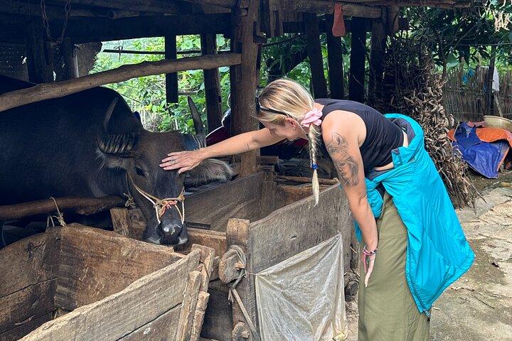 De Hanoi, Sapa: Premium Tour-3D2N Ha Giang Loop com Easy Rider
