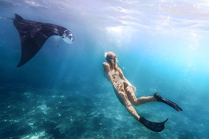 Snorkel En La Isla De Nusa Penida Con Mantarrayas Desde Bali