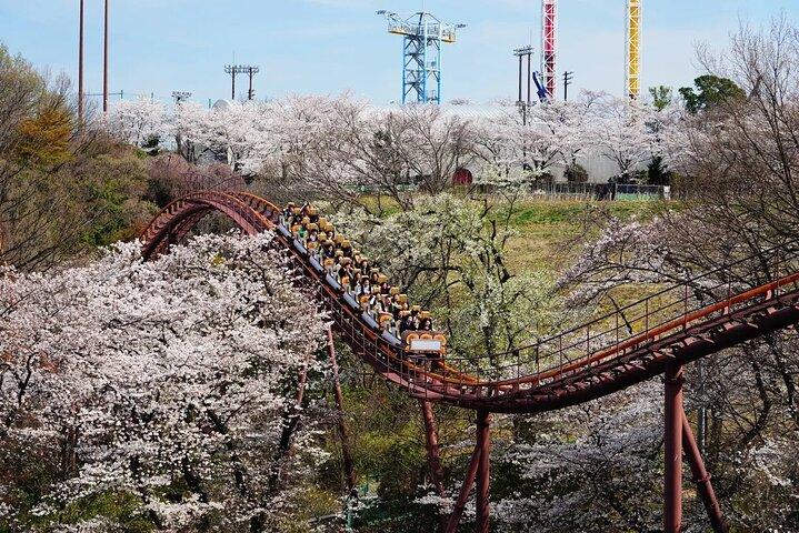 Billet Yomiuriland Day | Tokyo
