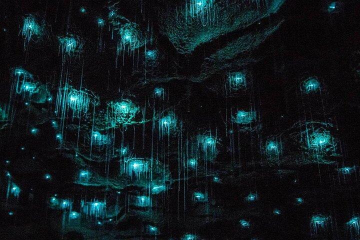 Hoteller i nærheden af Glowworm Caves & Hamilton Gardens