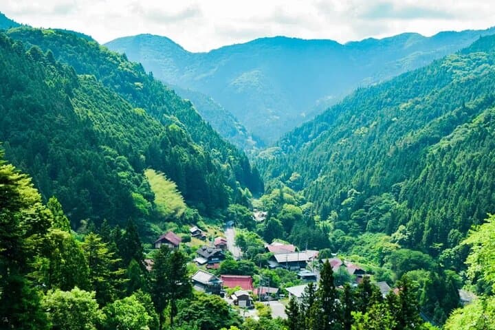 Tokyo Okutama Day Trip Tour