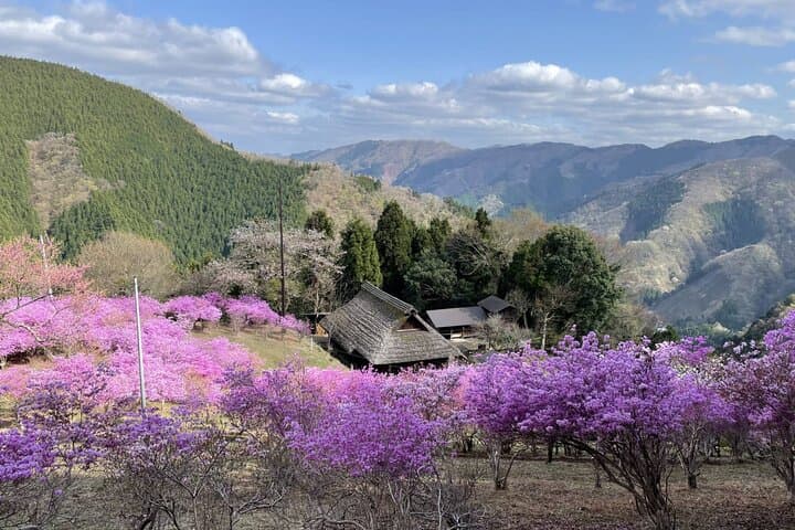 Tokyo Okutama Day Trip Tour