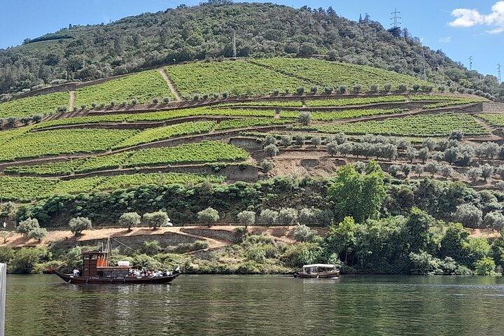Lisbon to Douro Valley One Way Trip Up to 4 Stops