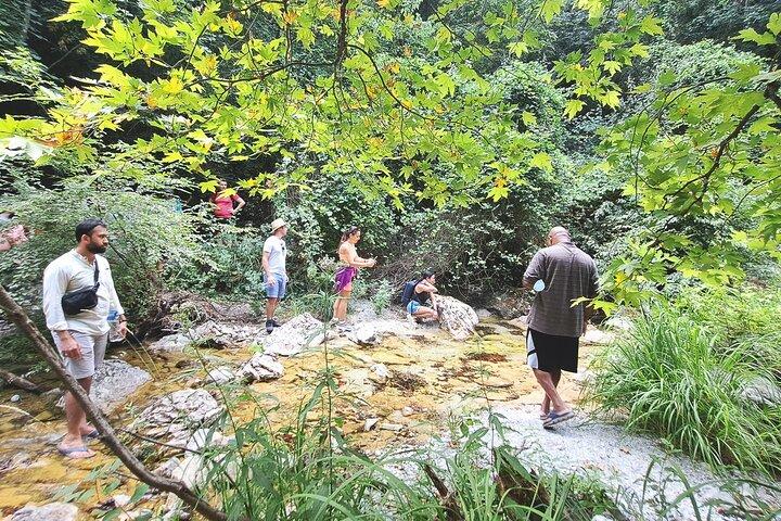 Thessaloniki: Bustur til Dion og Mt Olympus National Park