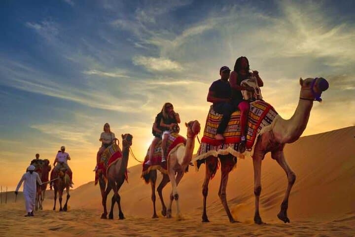 VIP Desert Safari Camel Ride Sand Boarding & BBQ Dinner