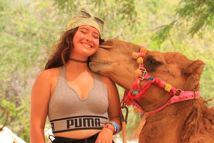 ATV and Camel Experience Los Cabos