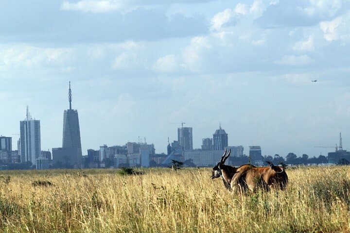 Nairobi National Park with Elephant Orphanage and Giraffe Center.