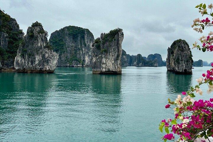 Ontdek Bai Tu Long Bay tijdens een nachtelijke cruise