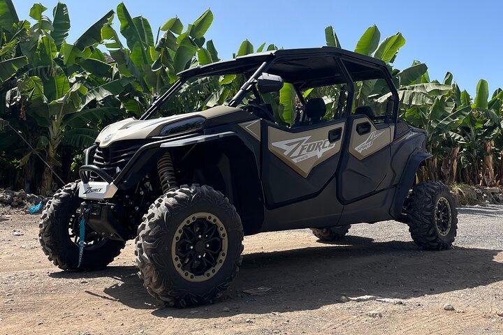 Tenerife Monster Buggy Teide Mountain Tour 4-Seaters