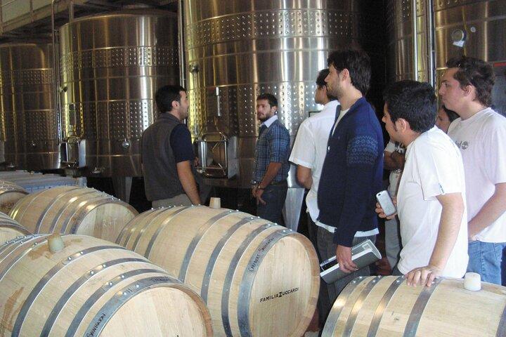 Excursion d'une journée à Maipú : Visite de vignoble et déjeuner