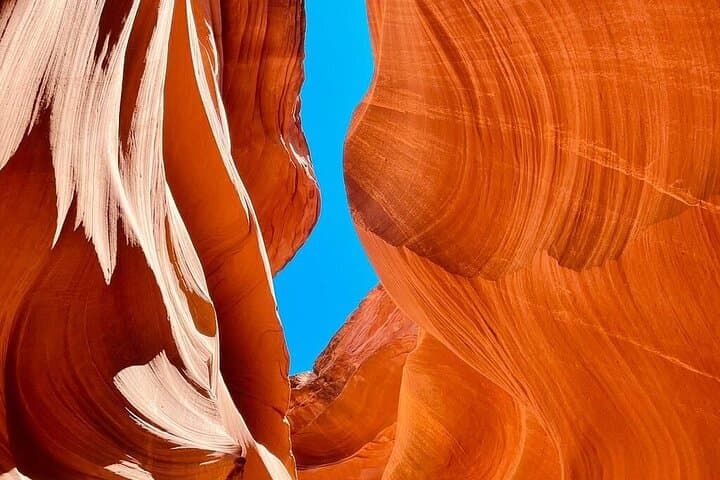 7 Days Tour of Los Angeles, Vegas, Yellowstone and Salt Lake City