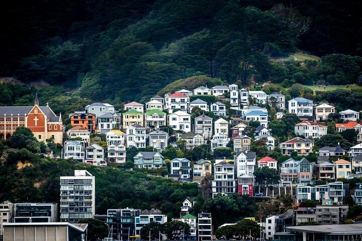 Tour privato di un'intera giornata visitando Wellington incluso il ritiro