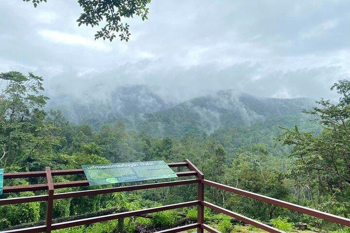 Half Day Chiang Mai Sticky Waterfall and Hotel Transfer