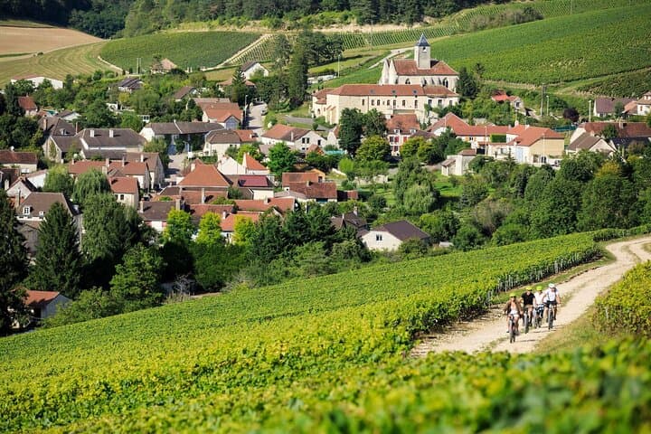 Champagne Mercier in Epernay Private Half Day Tour from Paris
