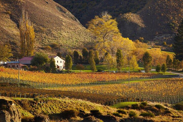 Small Batch Private Wine Experience i Gibbston, Queenstown.