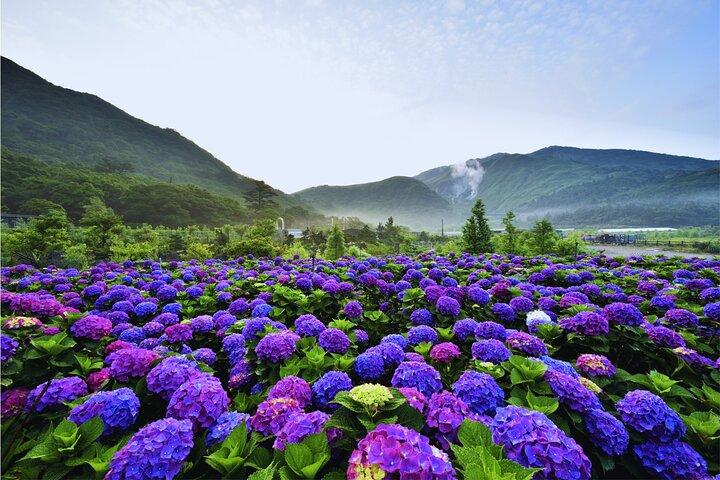 Taipei Customize Your Private Day Tour with Driver Guide