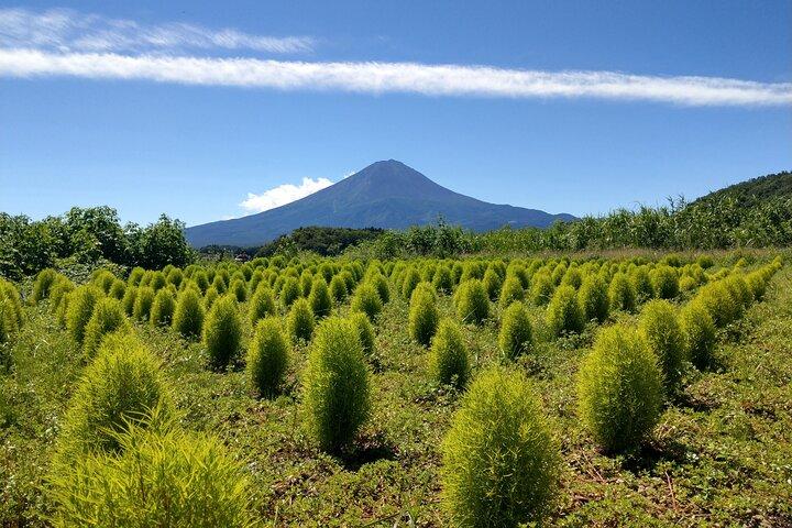 De Tóquio: Monte Fuji, cruzeiro e degustação de saquê