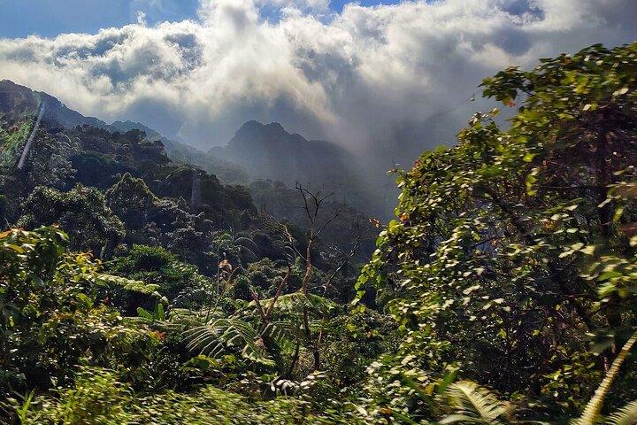 Luxuriöse Kleingruppentour durch den Bach Ma-Nationalpark ab Hue Da Nang