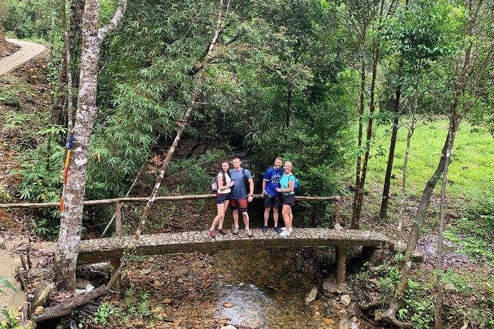 Luxuriöse Kleingruppentour durch den Bach Ma-Nationalpark ab Hue Da Nang