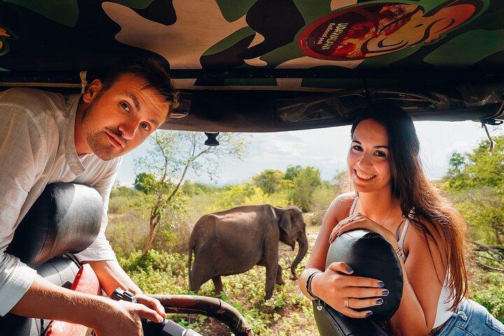Yala National Park Leopard Safari - HALF DAY/FULL DAY TOUR