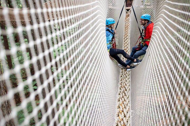 Rotorua: Sequoie Altitude High Ropes Adventure
