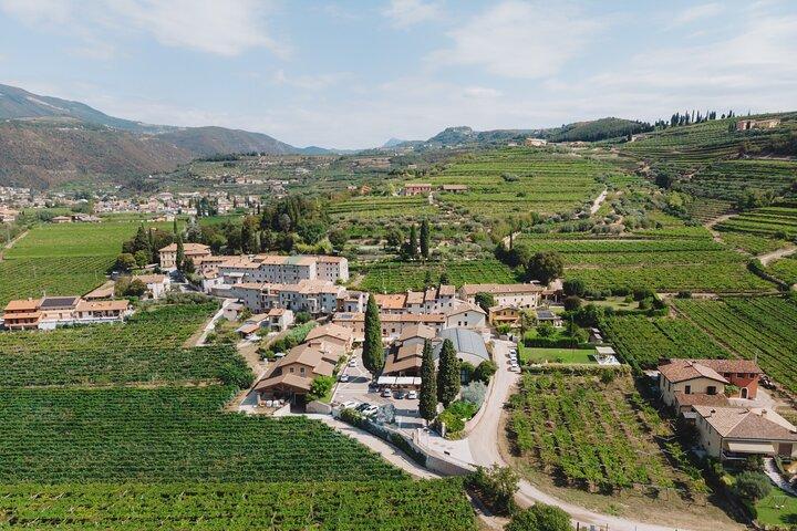 Verkostung von Bio-Weinen im klassischen Valpolicella