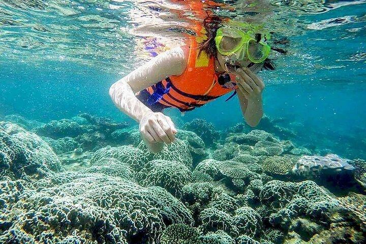 Cham Island snorkeldagtrip vanuit Hoi An of Da Nang