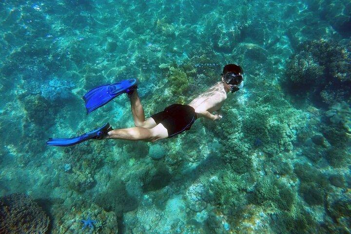 Cham Island snorkeldagtrip vanuit Hoi An of Da Nang
